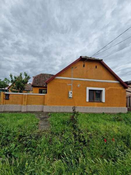 Becicherecu Mic, Timis
